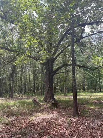 TBD Route 1 Deport Deport, Texas 75417