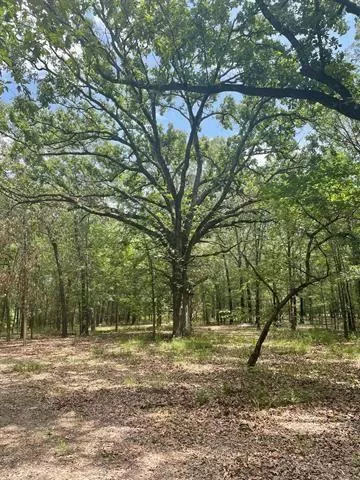 TBD Route 1 Deport Deport, Texas 75417