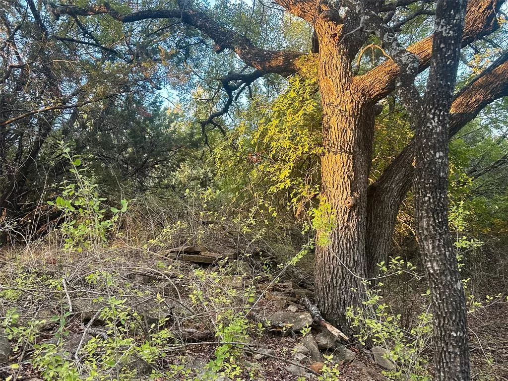 TBD Moccasin Bend Road, Gatesville, Texas 76528