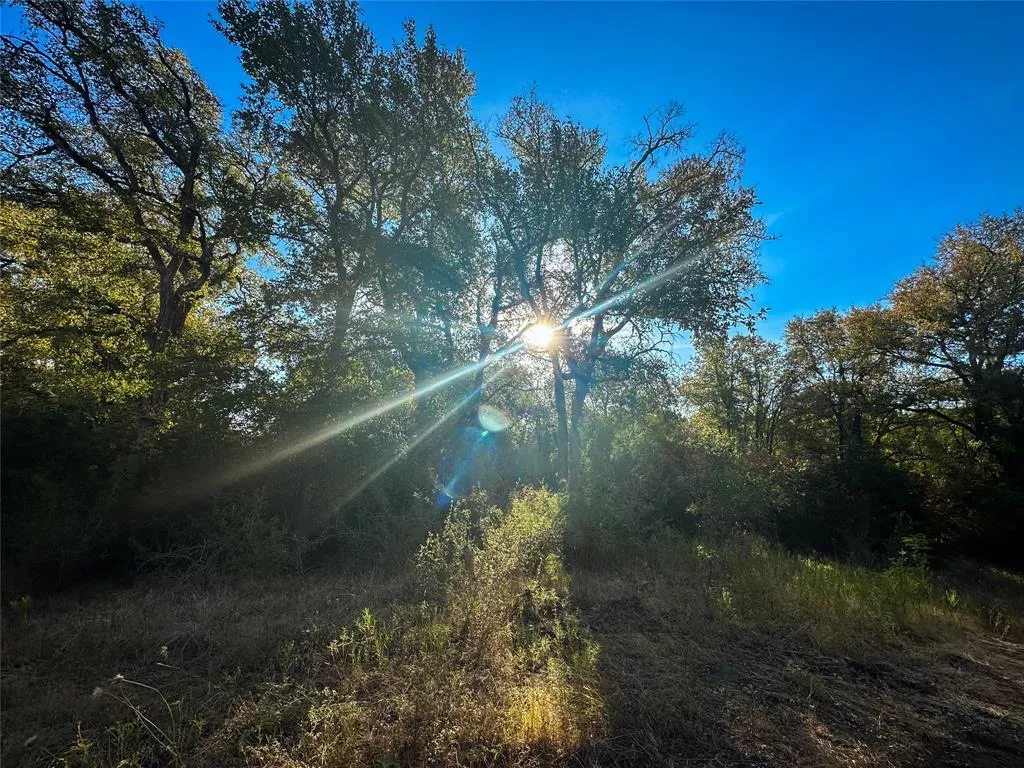 TBD Moccasin Bend Road, Gatesville, Texas 76528