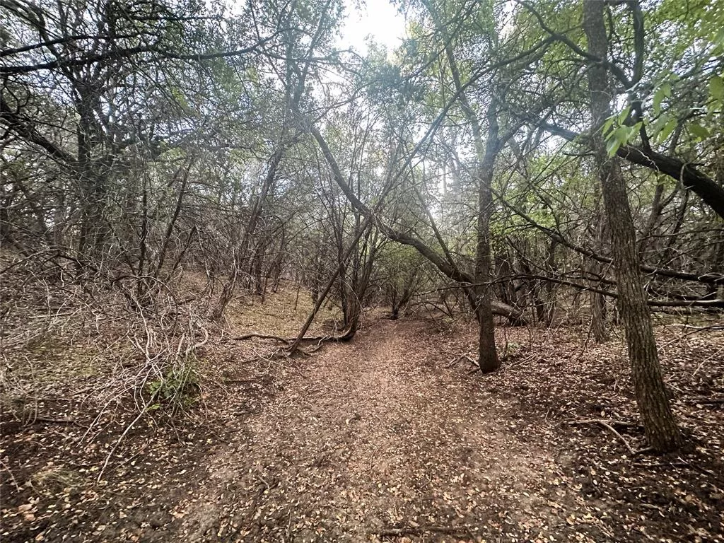 TBD Moccasin Bend Road, Gatesville, Texas 76528