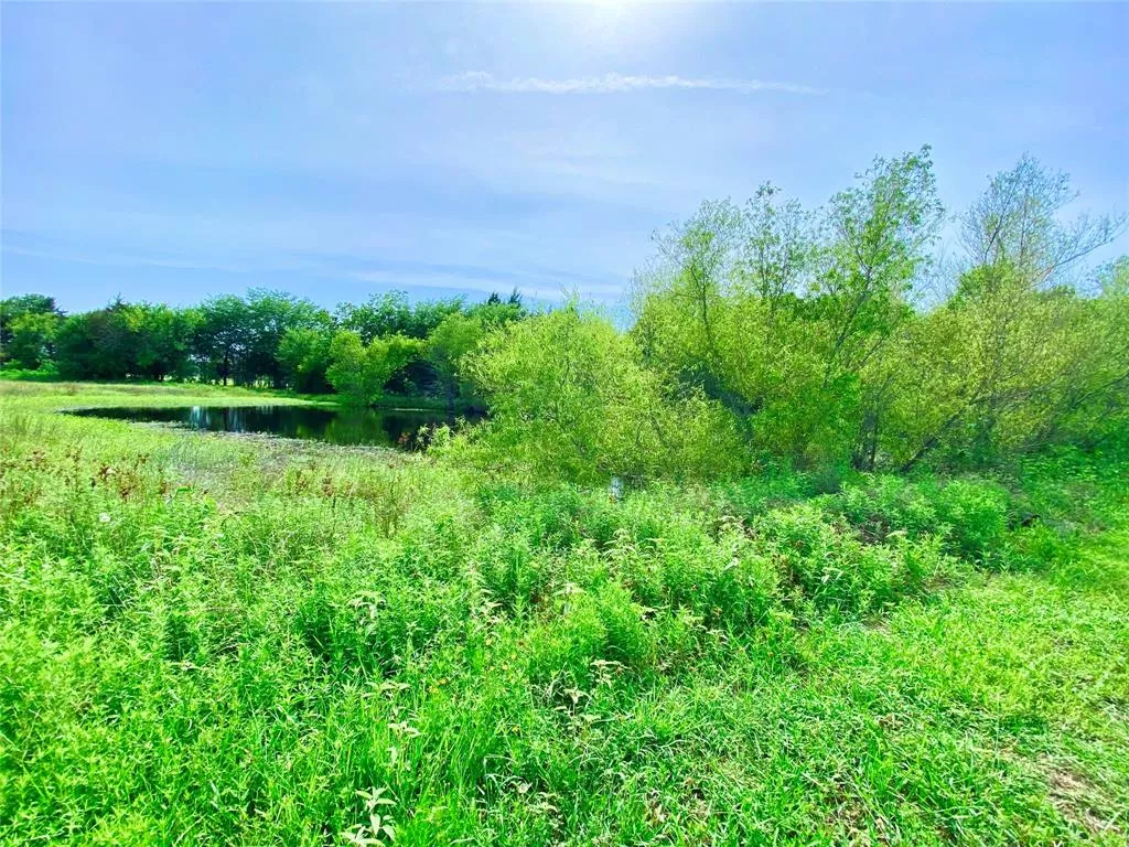 321 Fm 274 Ravenna, Texas 75476