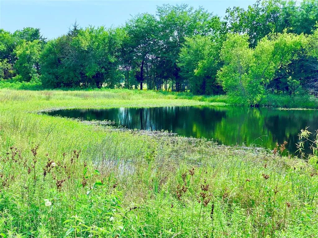 321 Fm 274 Ravenna, Texas 75476