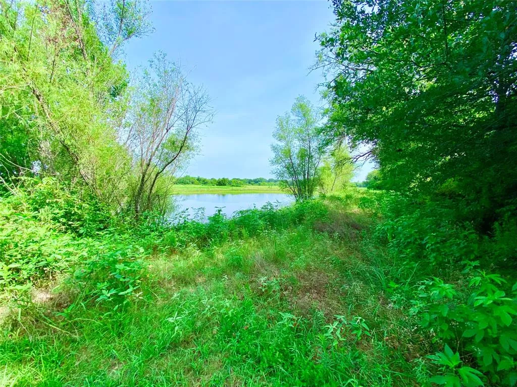 321 Fm 274 Ravenna, Texas 75476