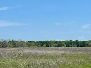 TBD County Road 2190 Corsicana, Texas 75109