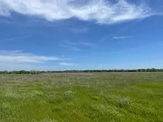 TBD County Road 2190 Corsicana, Texas 75109