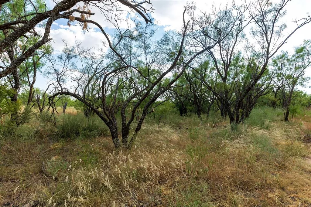 TBD CR 212 Anson, Texas 79501