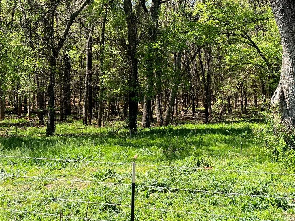 Tract 7 CR 323 Hasse, Texas 76442