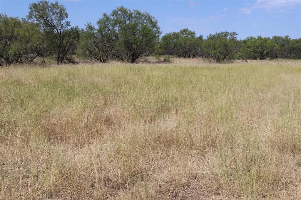 4246 Fairview Rd Henrietta, Texas 76365