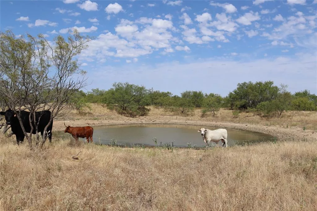 4246 Fairview Rd Henrietta, Texas 76365