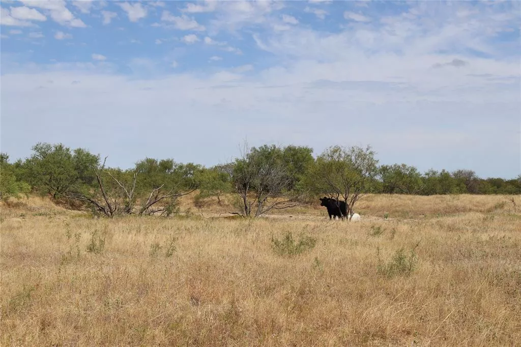 4246 Fairview Rd Henrietta, Texas 76365