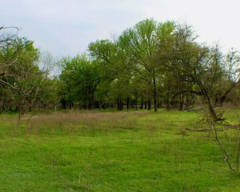TBD CR 333 Dublin, Texas 76446