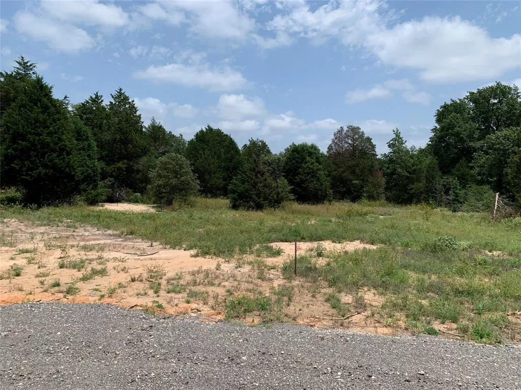 TBD Hills Dr Athens, Texas 75751