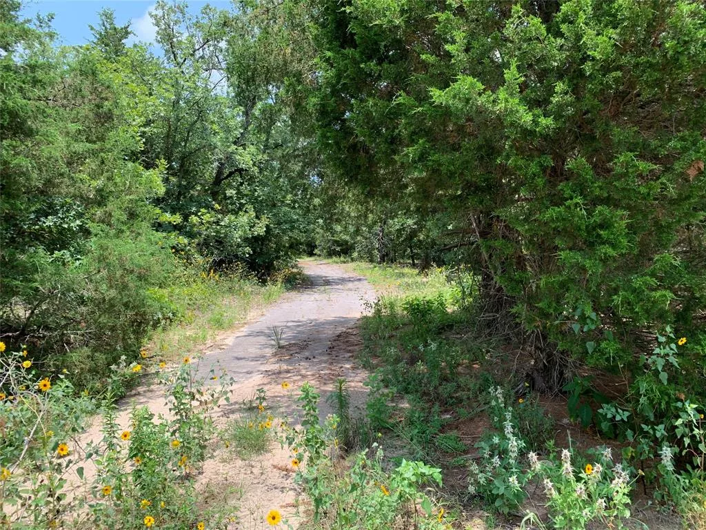 TBD Hills Dr Athens, Texas 75751