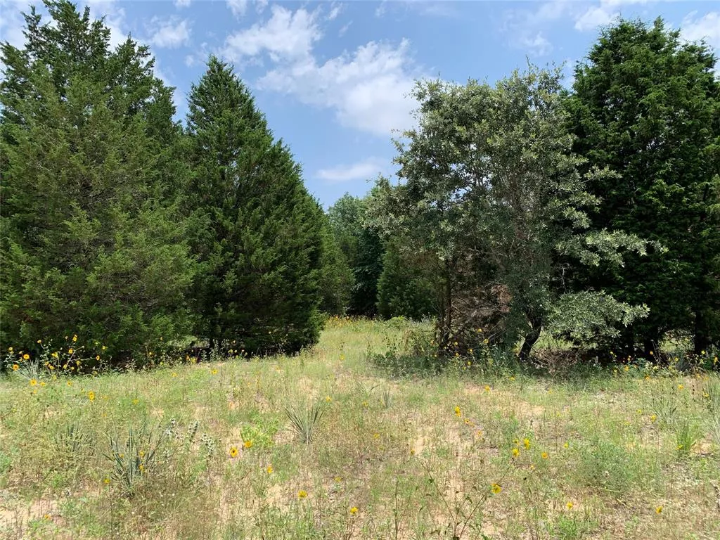 TBD Hills Dr Athens, Texas 75751