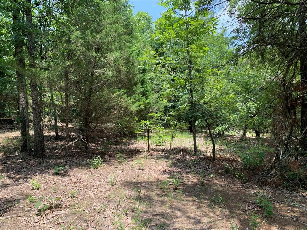 TBD Hills Dr Athens, Texas 75751