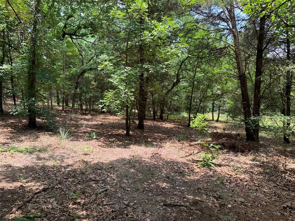 TBD Hills Dr Athens, Texas 75751