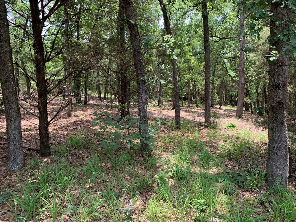 TBD Hills Dr Athens, Texas 75751