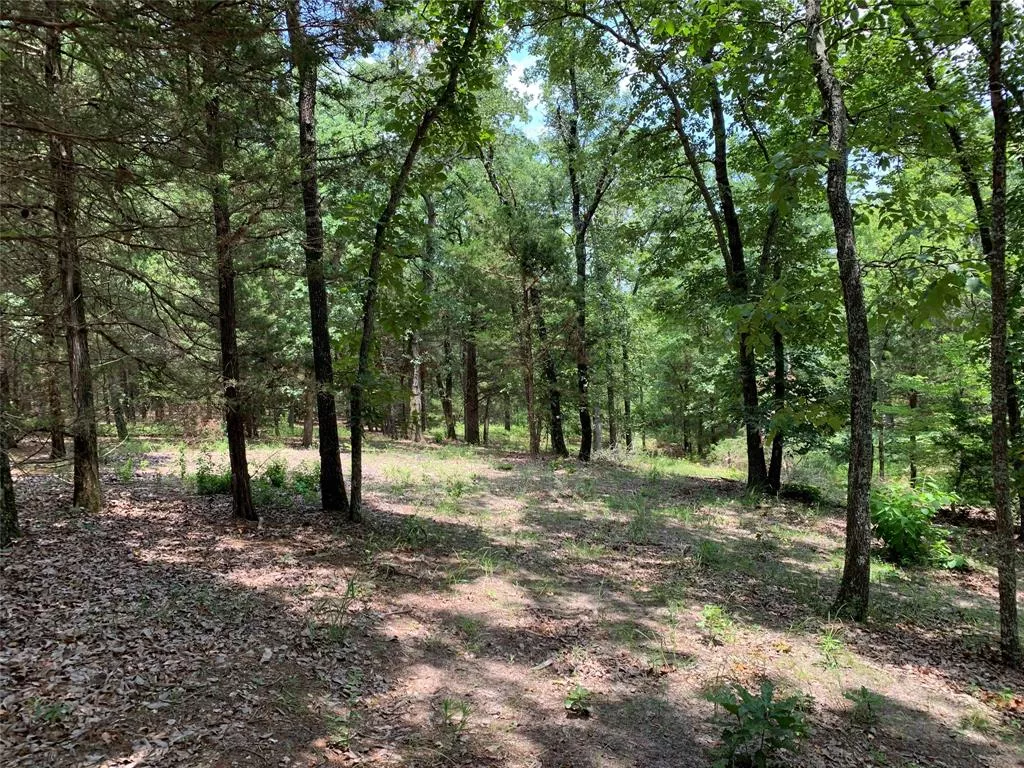 TBD Hills Dr Athens, Texas 75751