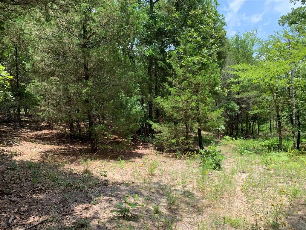 TBD Hills Dr Athens, Texas 75751