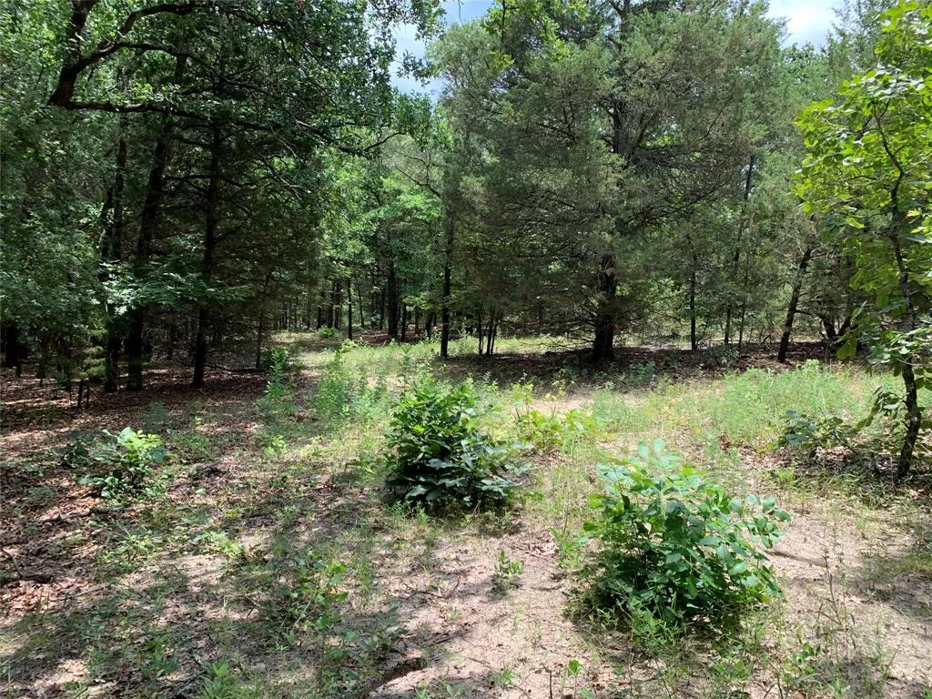 TBD Hills Dr Athens, Texas 75751