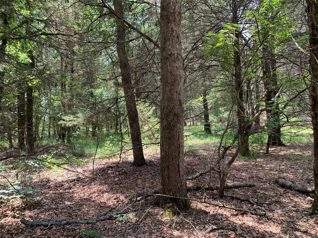 TBD Hills Dr Athens, Texas 75751