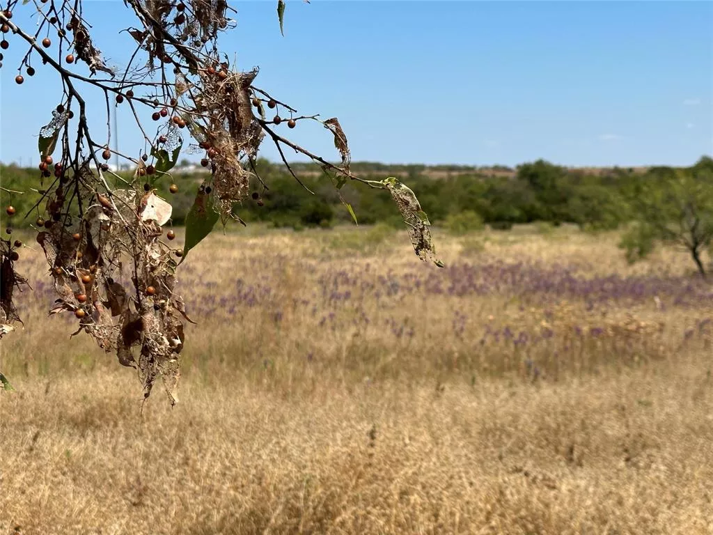 3757 Fm 1434 Cleburne, Texas 76033