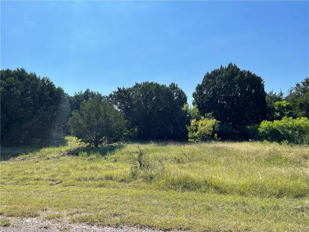 43137 Lantana Drive, Whitney, Texas 76692