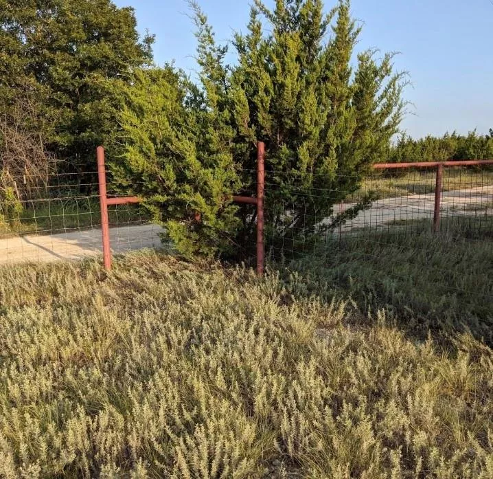 1019 Oak Bend Lane, Weatherford, Texas 76088