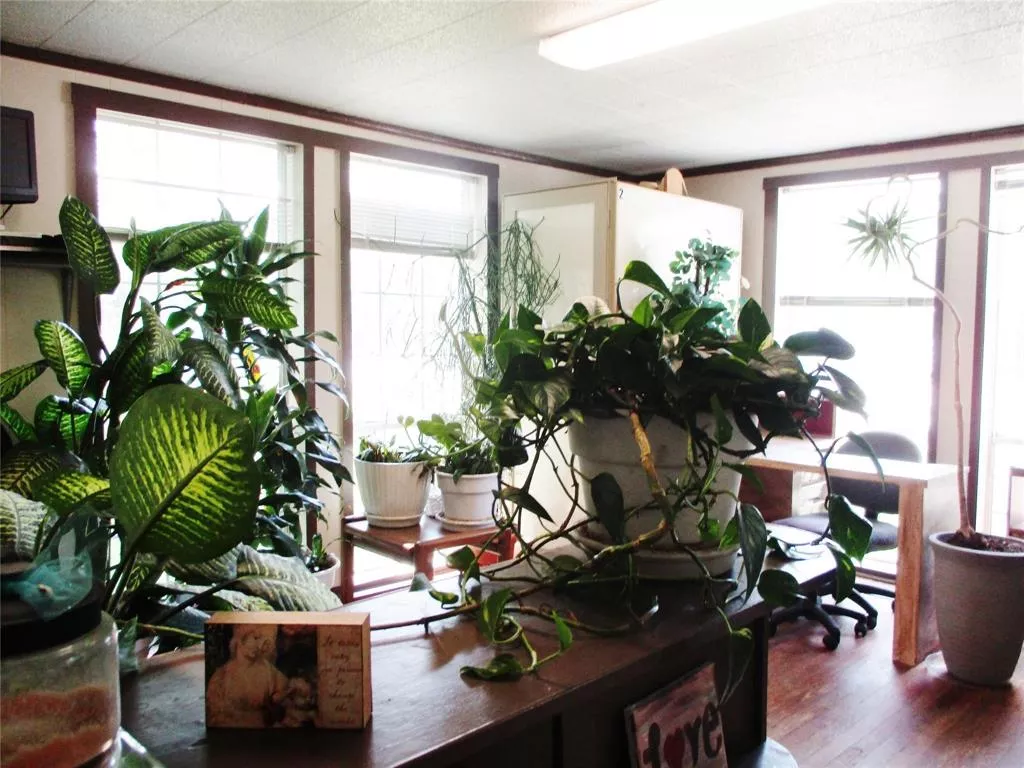 103 E Denison Avenue, Bonham, Texas 75418