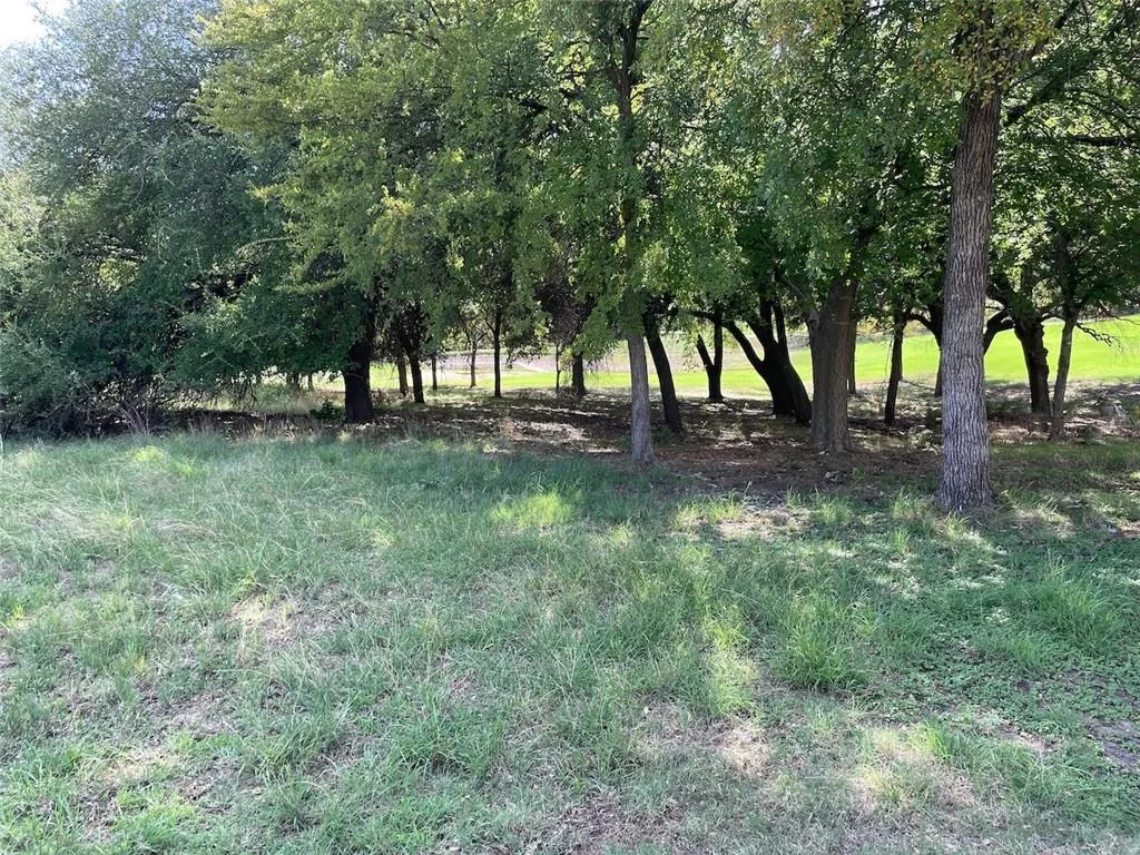 16046 Faircrest Drive, Whitney, Texas 76692