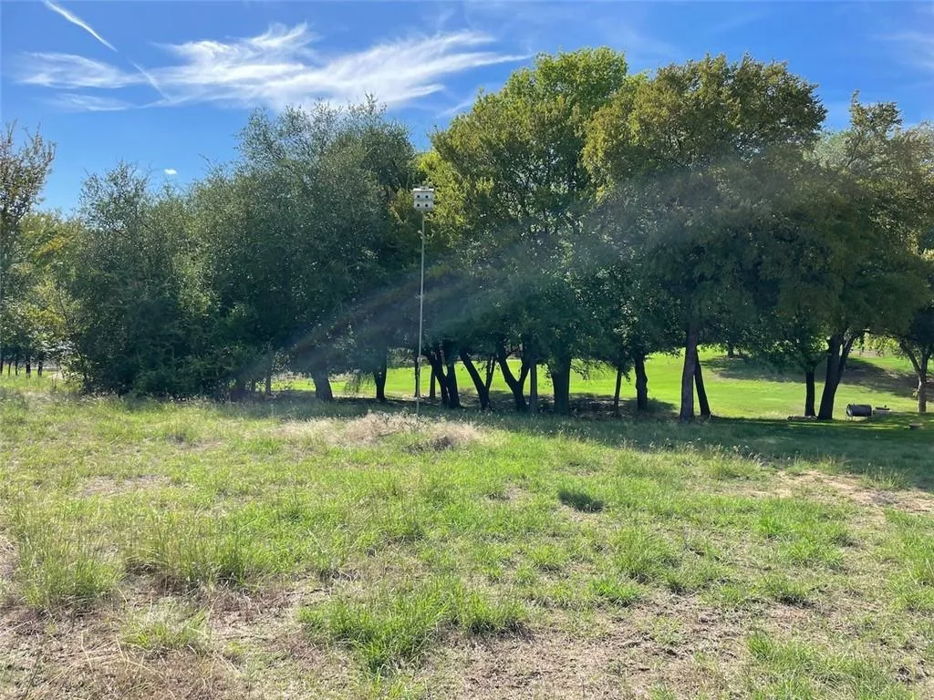 16046 Faircrest Drive, Whitney, Texas 76692