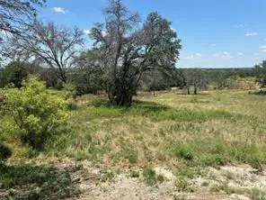 1721 County Road 318 Early, Texas 76802