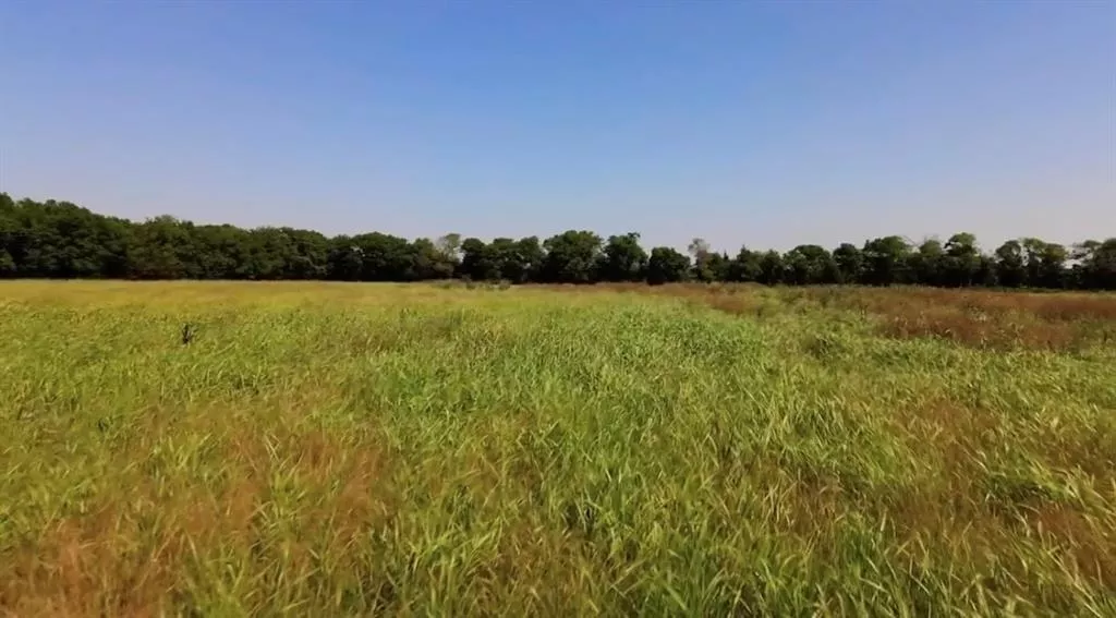 4611 Stout Road, Midlothian, Texas 76065