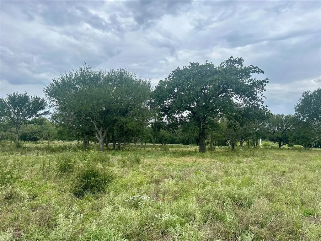 Lot 8 County Road 380 Dublin, Texas 76446