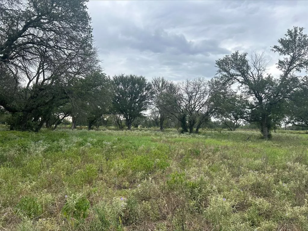 Lot 8 County Road 380 Dublin, Texas 76446