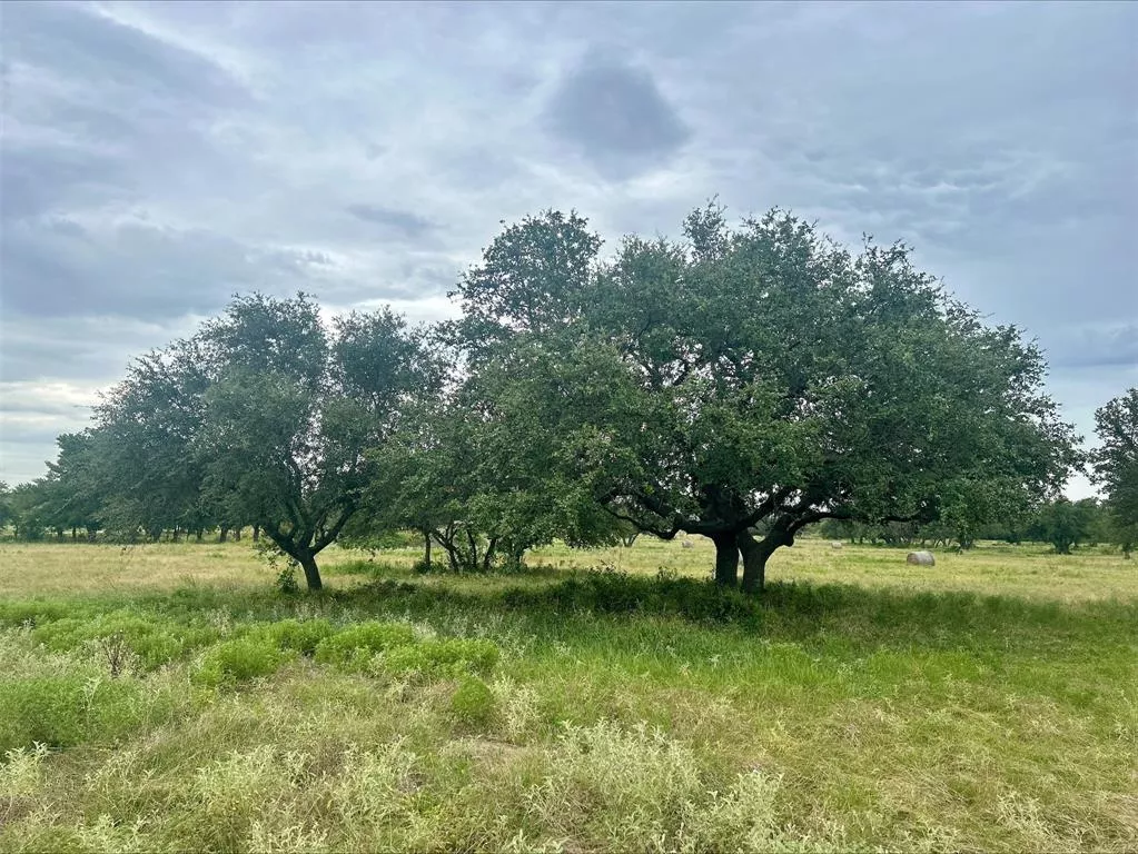 Lot 9 County Road 380 Dublin, Texas 76446