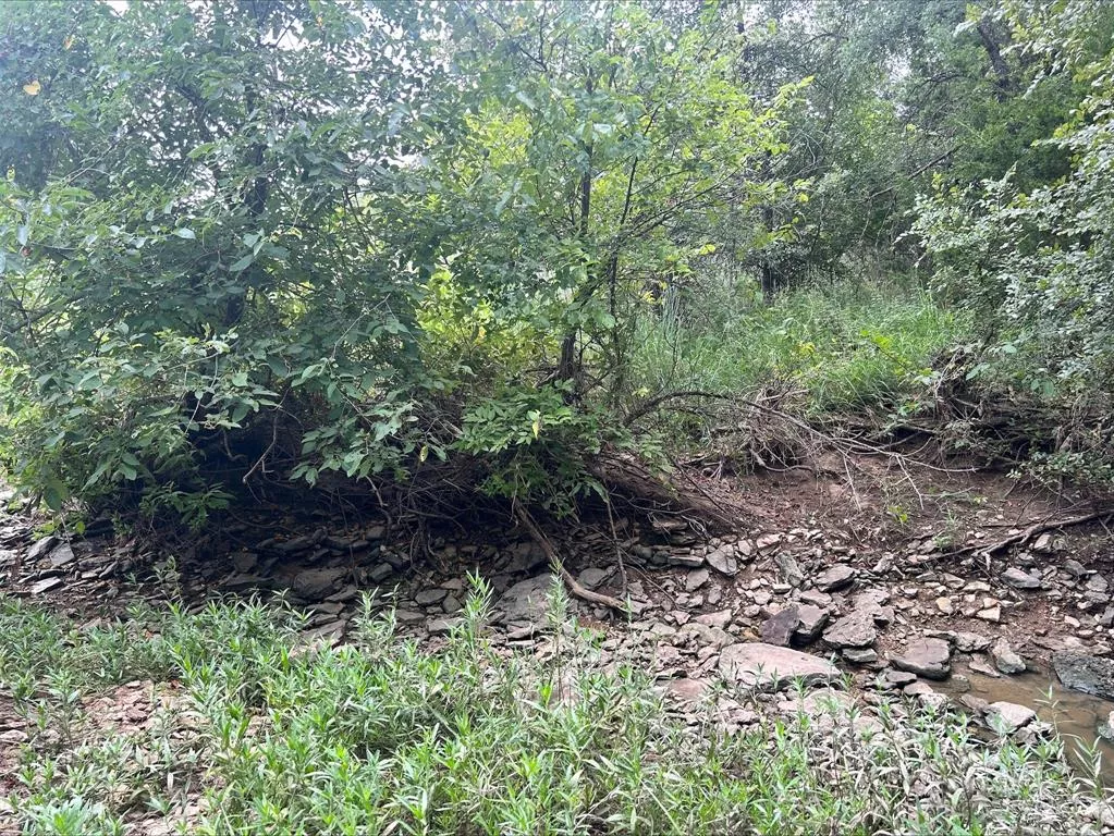 Lot 9 County Road 380 Dublin, Texas 76446