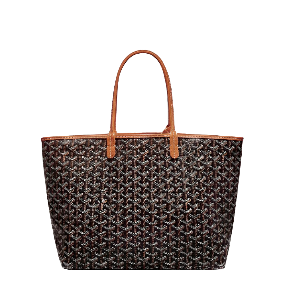 GOYARD SAINT PM BAG BROWN AREA 02