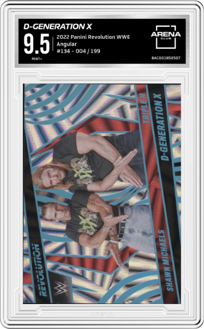 Shawn Michaels/Triple H