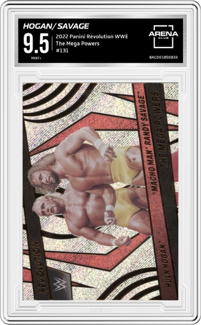 Macho Man Randy Savage/Hulk Hogan