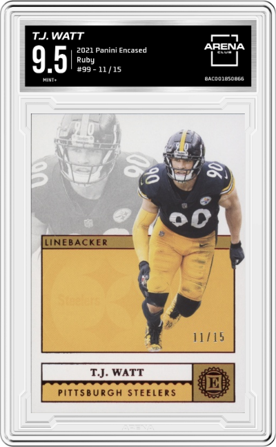 T.J. Watt