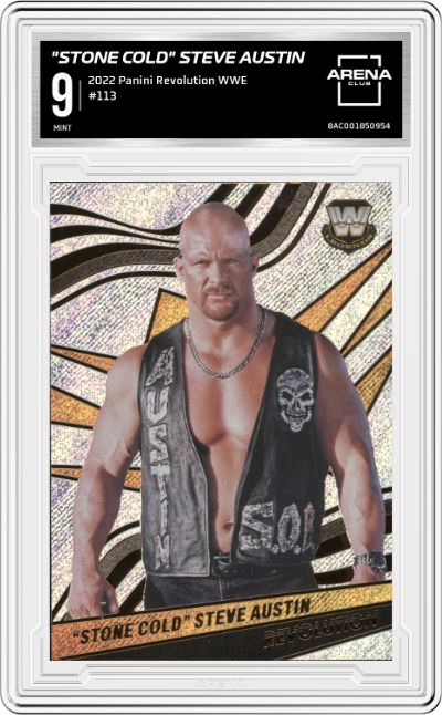 Stone Cold Steve Austin