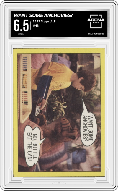 Want Some Anchovies?