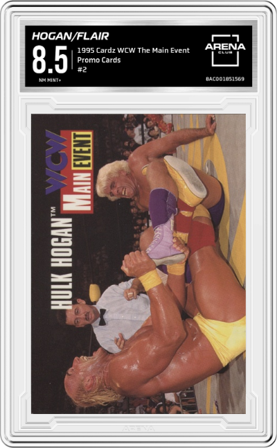 Hulk Hogan/Ric Flair