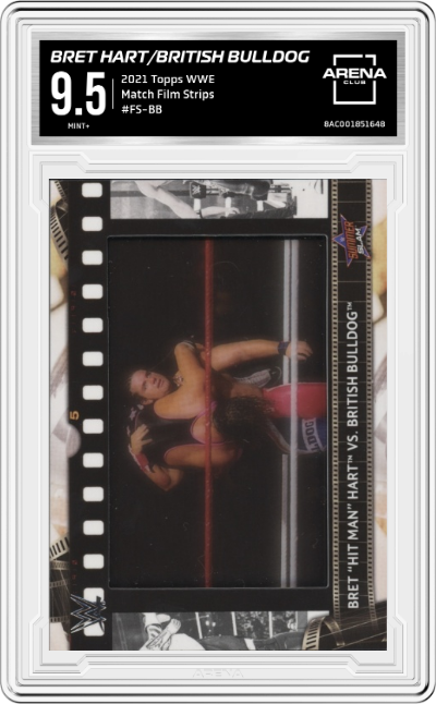 Bret Hart/British Bulldog