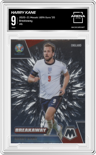 Harry Kane