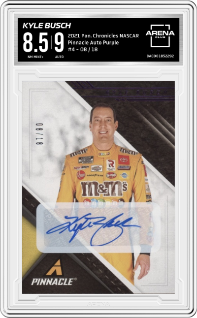 Kyle Busch