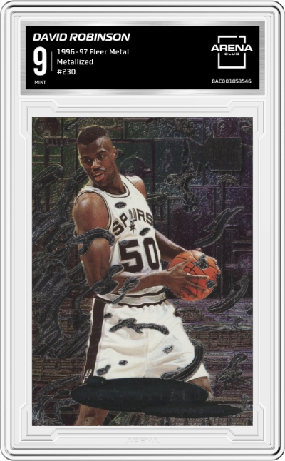 David Robinson