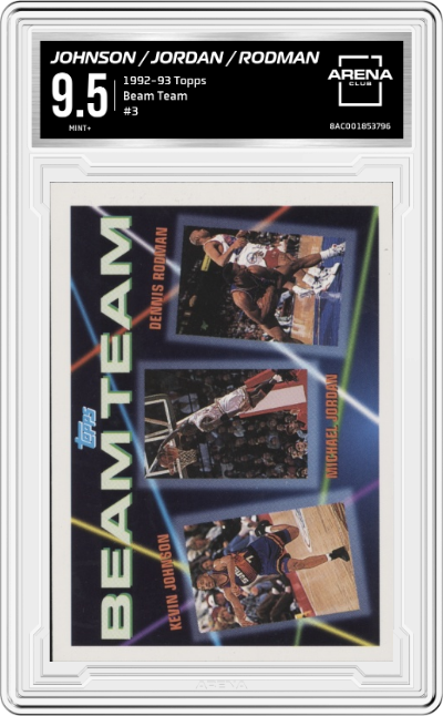 Kevin Johnson/Michael Jordan/Dennis Rodman